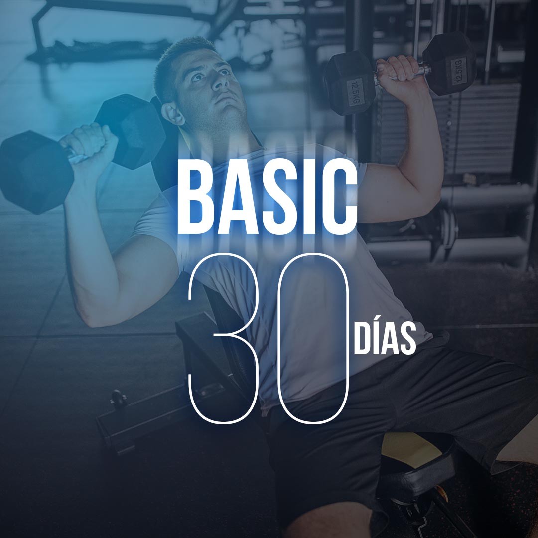 Producto Asesoría personalizada BASIC 30 basic 30 renovable