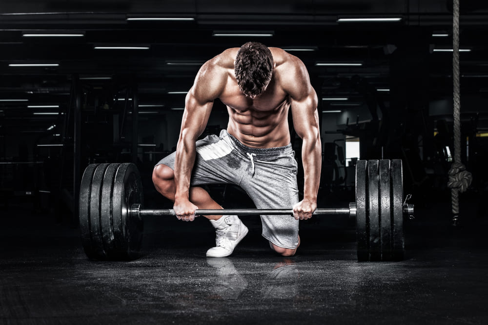 Consejos para ganar masa muscular en la etapa de volumen masa muscular en la etapa de volumen