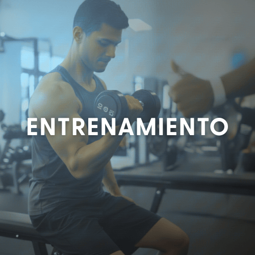 Plan Entrenamiento