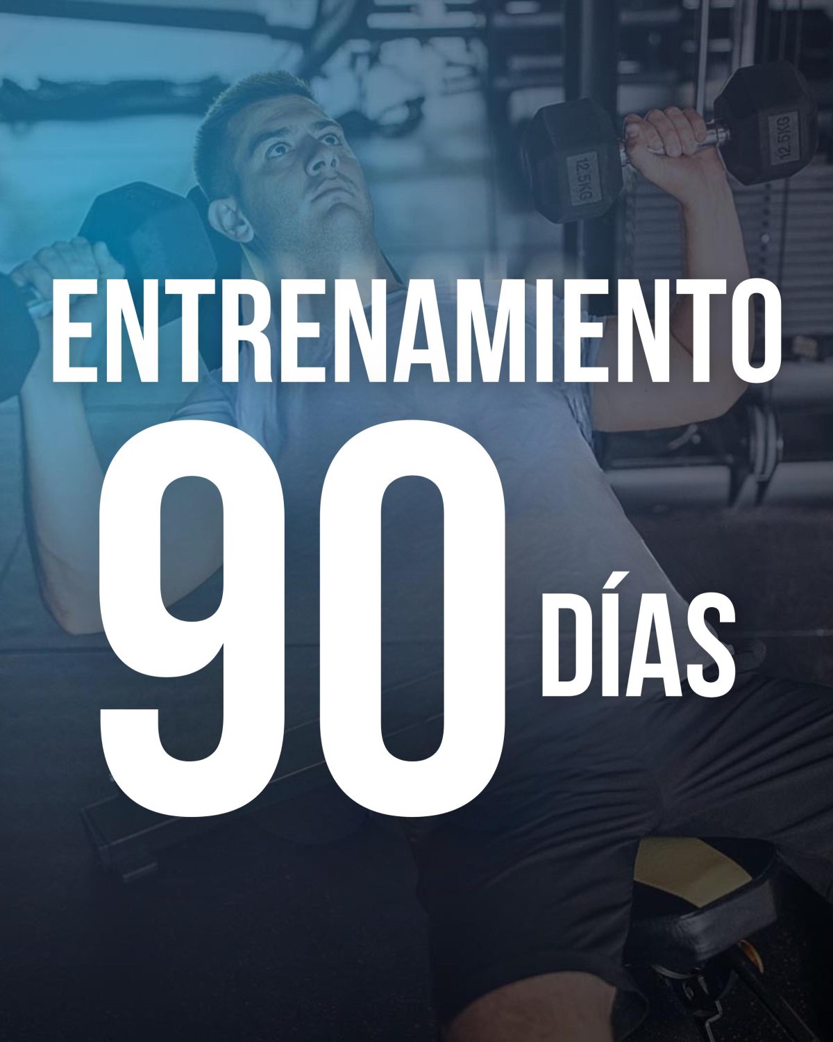 Asesoría Personalizada ENTRENAMIENTO TRIMESTRAL