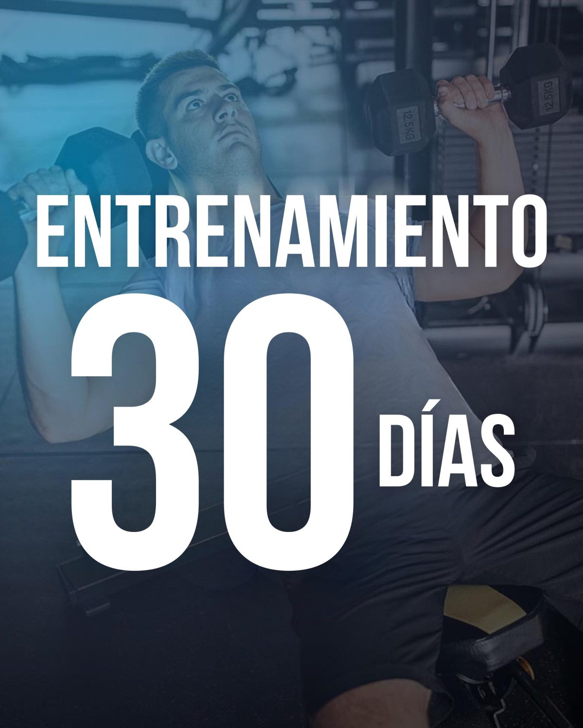 Asesoría Personalizada ENTRENAMIENTO MENSUAL