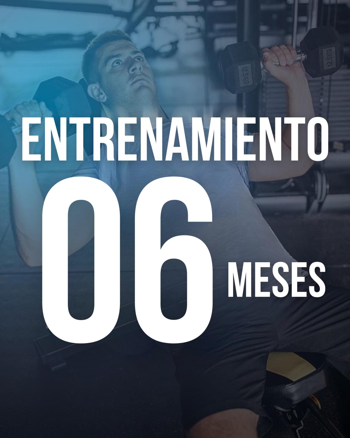 Asesoría Personalizada ENTRENAMIENTO SEMESTRAL